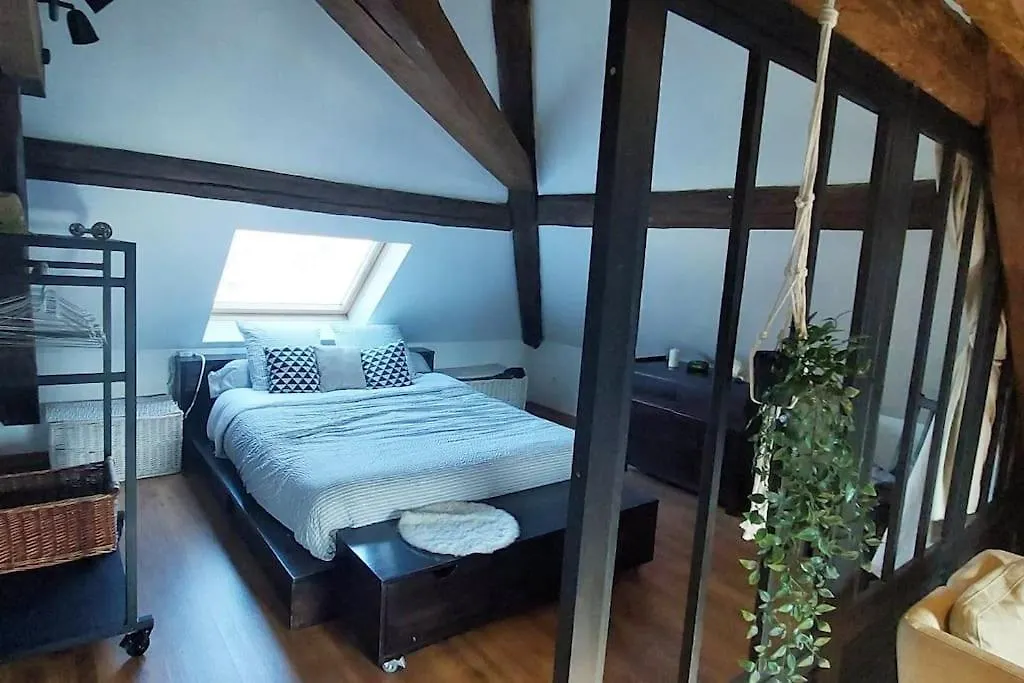 *New*Les Amandines Le Loft* Wifi Apartment Allevard 0*,  France